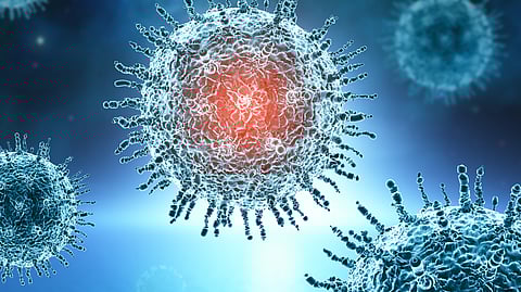 Nipah Alert In Nepal: Health Ministry Warns Of Preparedness Measures