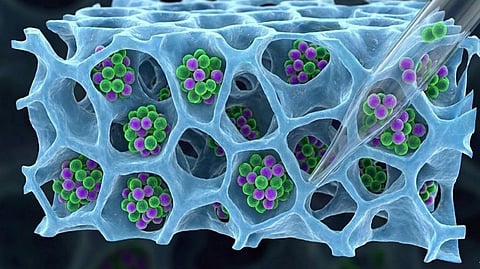 IIT Bombay Unveils Simpler Lab‑Grown Immune Cells Recovery Method For Cancer Treatment