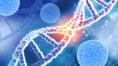 Cancer Cells Drive Immune Cell Changes That Promote Tumour Growth: Study