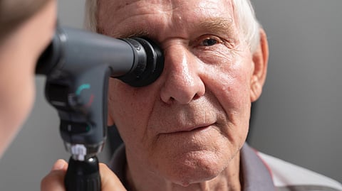 NIH Scientists Build First “Digital Twin” Of Eye Cells To Advance Age-Related Macular Degeneration Research