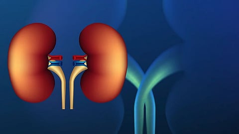Study Links Advancing Chronic Kidney Disease To Rising Risk Of Cognitive Impairment