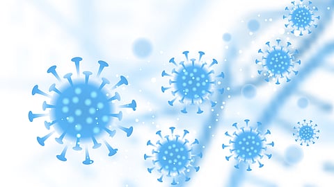 Researchers Identify Monoclonal Antibodies Targeting Epstein-Barr Virus Infection