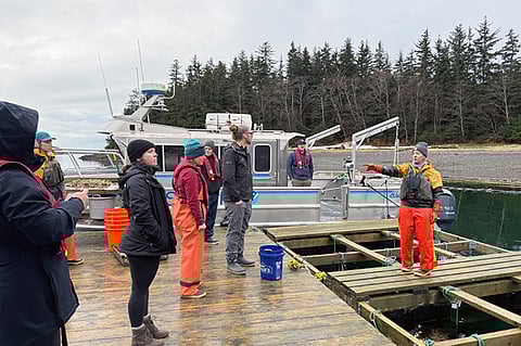 NOAA Fisheries Aquaculture staff discussing oyster farming strategies with stakeholders near Juneau, Alaska. 