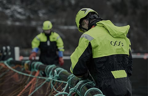 Ode workers at one of its cod farms. 