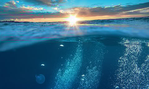"Prolonged marine heatwave" in waters around Ireland and British Isles