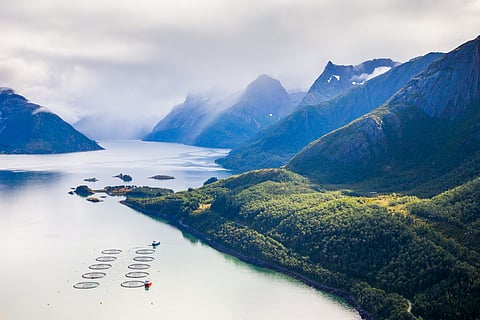 Nova Sea is based in Lovund, Lurøy Municipality in Nordland county, Norway.