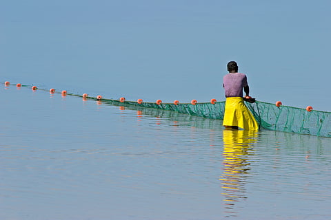 The report estimates that Africa’s aquatic food production must rise by 74% by 2050 to maintain current per capita fish consumption. Pictured: a Mozambique fisherman at work.