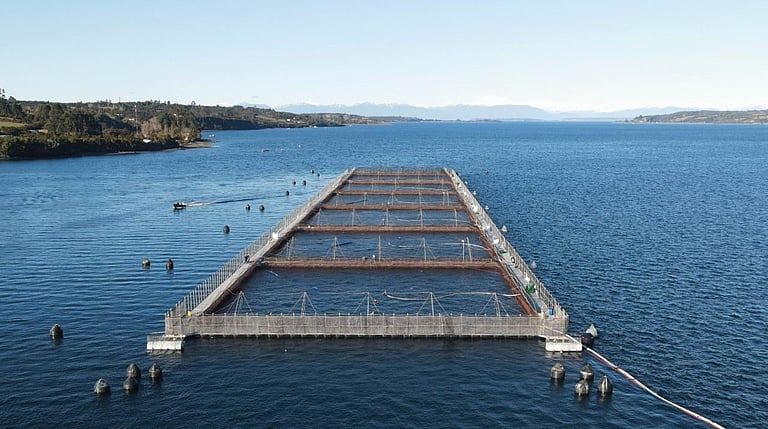 AKVA signs a RAS contract worth €30M in Chile - WeAreAquaculture