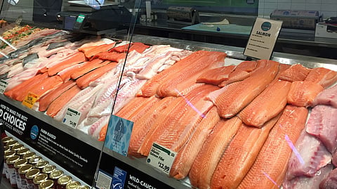 Fish counter in USA. Photo: Trude Bessesen.
