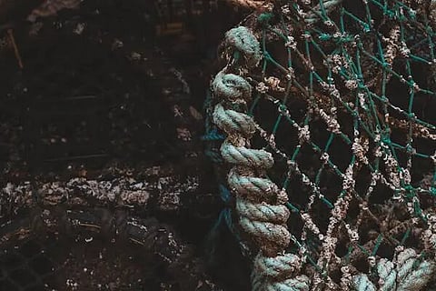 Scientists in Norway are developing biodegradable fishing gear to reduce plastic pollution in the ocean and prevent harmful microplastics.