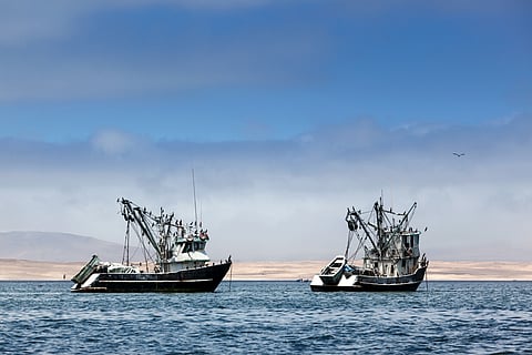 “Better targeted fisheries support and better management are essential to improving the profitability and resilience of the sector," said OECD Secretary-General Mathias Cormann.