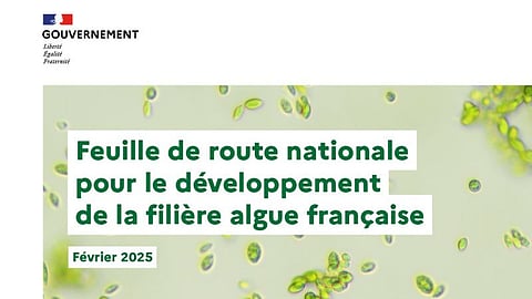 "Algae must become a recognized French asset and a source of innovative solutions," said Agnès Pannier-Runacher, Minister of Ecological Transition, Biodiversity, Forests, Seas, and Fisheries.