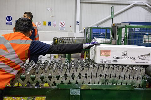 First shipment of Chilean salmon exported to Australia.