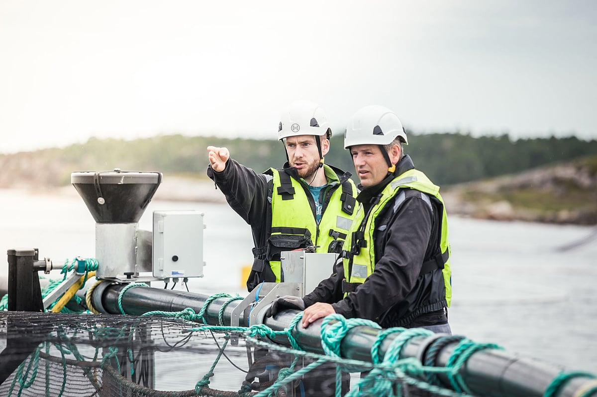 US Investor backs OptoScale to advance AI-powered fish welfare platform ...