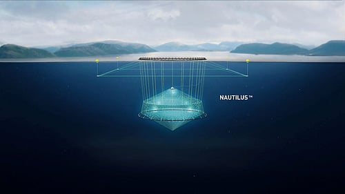 Ode to launch the world's first commercial deep farming cod operation