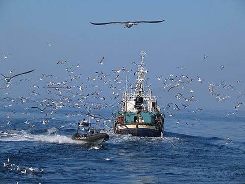 Also,&nbsp;the Spanish government confirmed it will finance changes needed to&nbsp;the national fishing fleet.