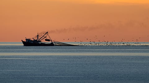 “Big fishing companies are not being held to the same standards as other industries,” said Maisie Pigeon, Director for the Coalition for Fisheries Transparency (CFT).
