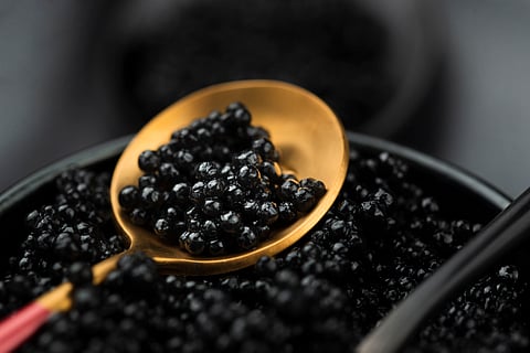 Only female sturgeon produce caviar.