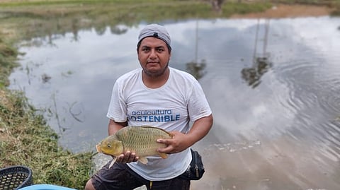 Peruvian fish farmer. 