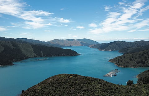 View of a New Zealand King Salmon farm.