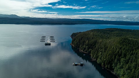 Fish farm near Vancouver, BC, Canada.