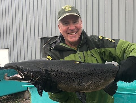Kelsey holds a bachelor's degree in Fisheries Management.