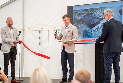 The plant has an annual production capacity of up to 24,000 tons of salmon