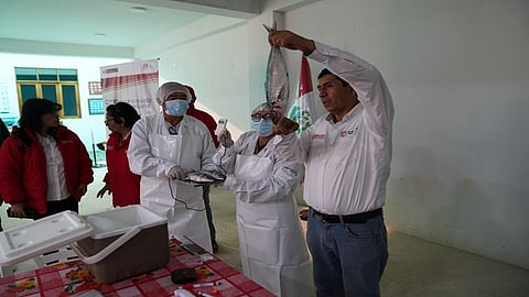The 'CITEpesquero' in Callao has trained and guided artisanal fishermen in different areas.