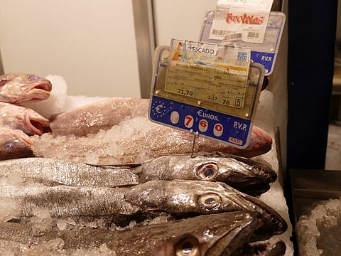 The study is called&nbsp;Labelling of Plant-Based Seafood Substitutes: Scope and Key Issues.