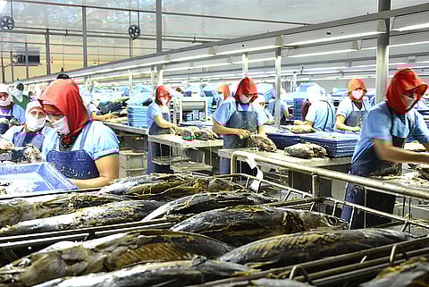 Skipjack, yellowfin, and bigeye tuna catches from the TUNACONS fleet are now MSC certified.