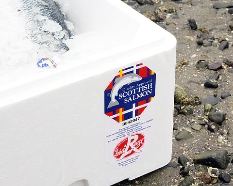 Label Rouge Scottish salmon box.