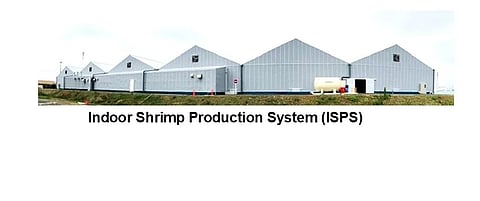 Large-scale Indoor Shrimp Production System (ISPS) plant in Shizuoka Prefecture (80 tons/year) for the Pacific whiteleg shrimp, Litopenaeus vannamei. Owned and operated by KAIKO YUKINOYA G.K.