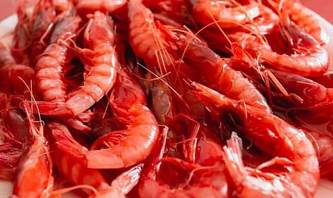 This adjustment will provide a boost to the fishing sector that depends on this species.