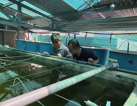 Chien Ho Van (Regional Technical Support Asia, INVE) and Yang during a site visit in Vietnam.