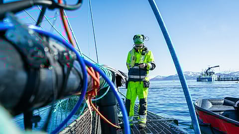 Seaqloud solution in a fish farm.