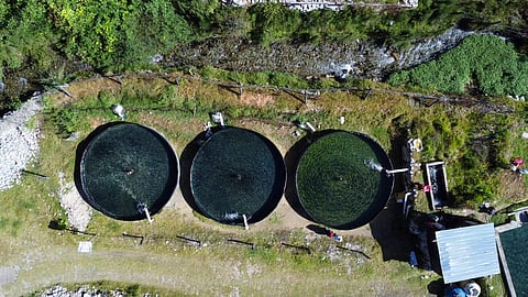Aquaculture facility in Peru.