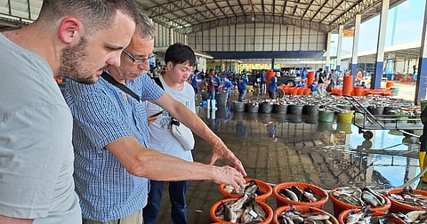 Stirling researchers secure £2m for fish welfare project in Southeast Asia