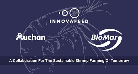 This collaboration was announced at&nbsp;the opening day of the latest edition of the Global Shrimp Forum.