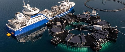 Frier Vest is where Bluegreen is developing its new production yard for the Marine Donut.