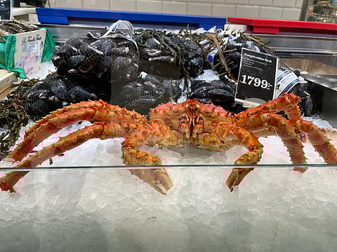 Norwegian king crab on a fishmonger's counter. 