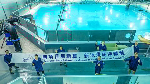 Employees at Nordic Aqua Partners' farm in China celebrate the milestone achieved on October 10.