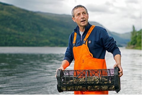 The company has been cultivating oysters on Loch Fyne for over 45 years.