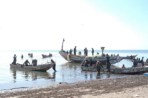 Local fisherman, such as those pictured here at a fish landing site at Joal Fadiouth, Senegal, supply fishmeal factories with fresh fish straight off the boat.