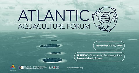 This year's AAF programme includes expert speakers from&nbsp;Angola, Brazil, Cape Verde and Senegal.