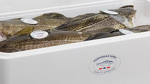 A box of quality branded skrei.