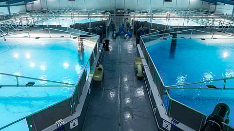 Tanks at Nordic Aqua Partners' RAS farm on October 10, 2025.