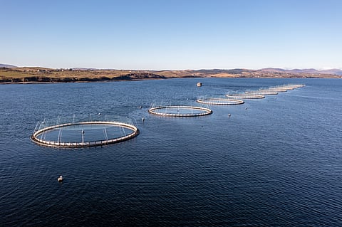 Aerial view of fish farm in County Donegal - Ireland