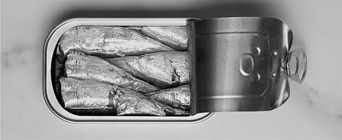 Small pelagic fish stand out for their high-quality protein content and their supply of vitamins A, D, and B-group vitamins.