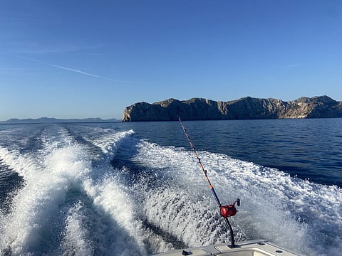 The Mediterranean Institute for Advanced Studies and the University of the Balearic Islands have collaborated in this research.