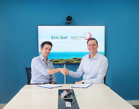 Entobel is a biotechnology company based in Singapore, specializing in producing insect-based food ingredients.
